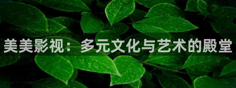 在同一片天空下：美美影视：多元文化与艺术的殿堂