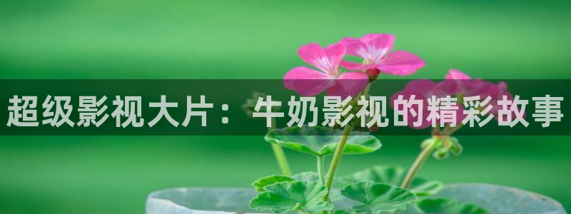不一样的天空 电影：超级影视大片：牛奶影视的精彩故事