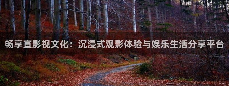 天空之上三公尺在线看：畅享宣影视文化：沉浸式观影体验与娱乐生活分享平台