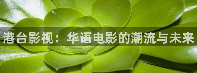 天空高清在线观看：港台影视：华语电影的潮流与未来