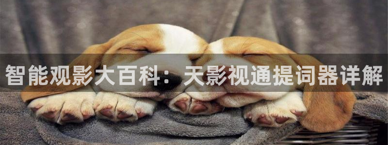 天空的遇难船中文版完整版：智能观影大百科：天影视通提词器详解