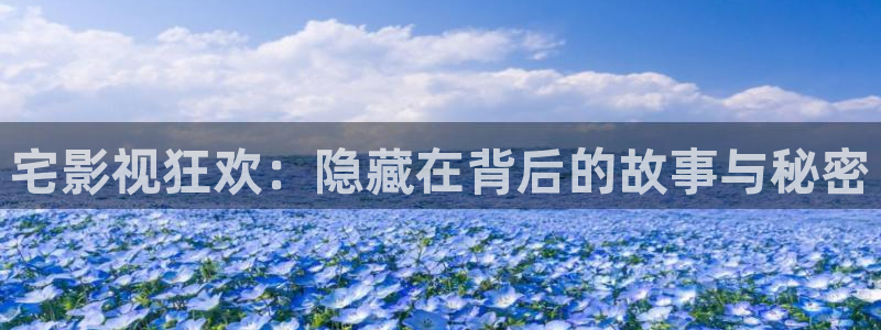 红色天空电影剧情介绍：宅影视狂欢：隐藏在背后的故事与秘密