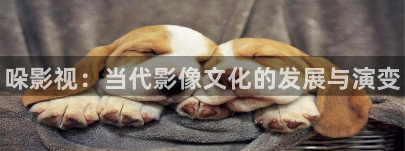 天空电影剧情介绍：哚影视：当代影像文化的发展与演变
