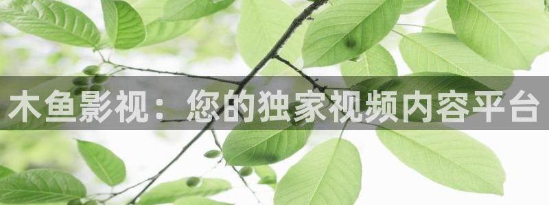 缘分天空动漫全集免费观看：木鱼影视：您的独家视频内容平台